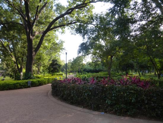 Parc National du Mali